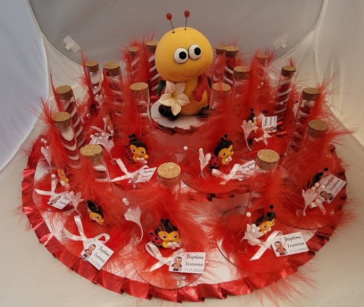 ../Images/plateau coccinelle mai 2023.jpg